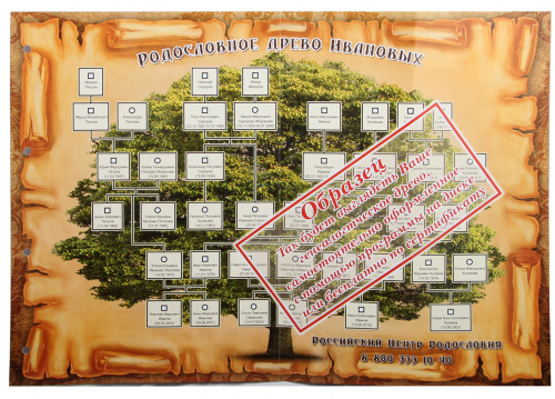 Родословная книга Классическая золотая в картонной коробке