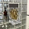 Бокал для виски квадро Лошадь в деревянной шкатулке